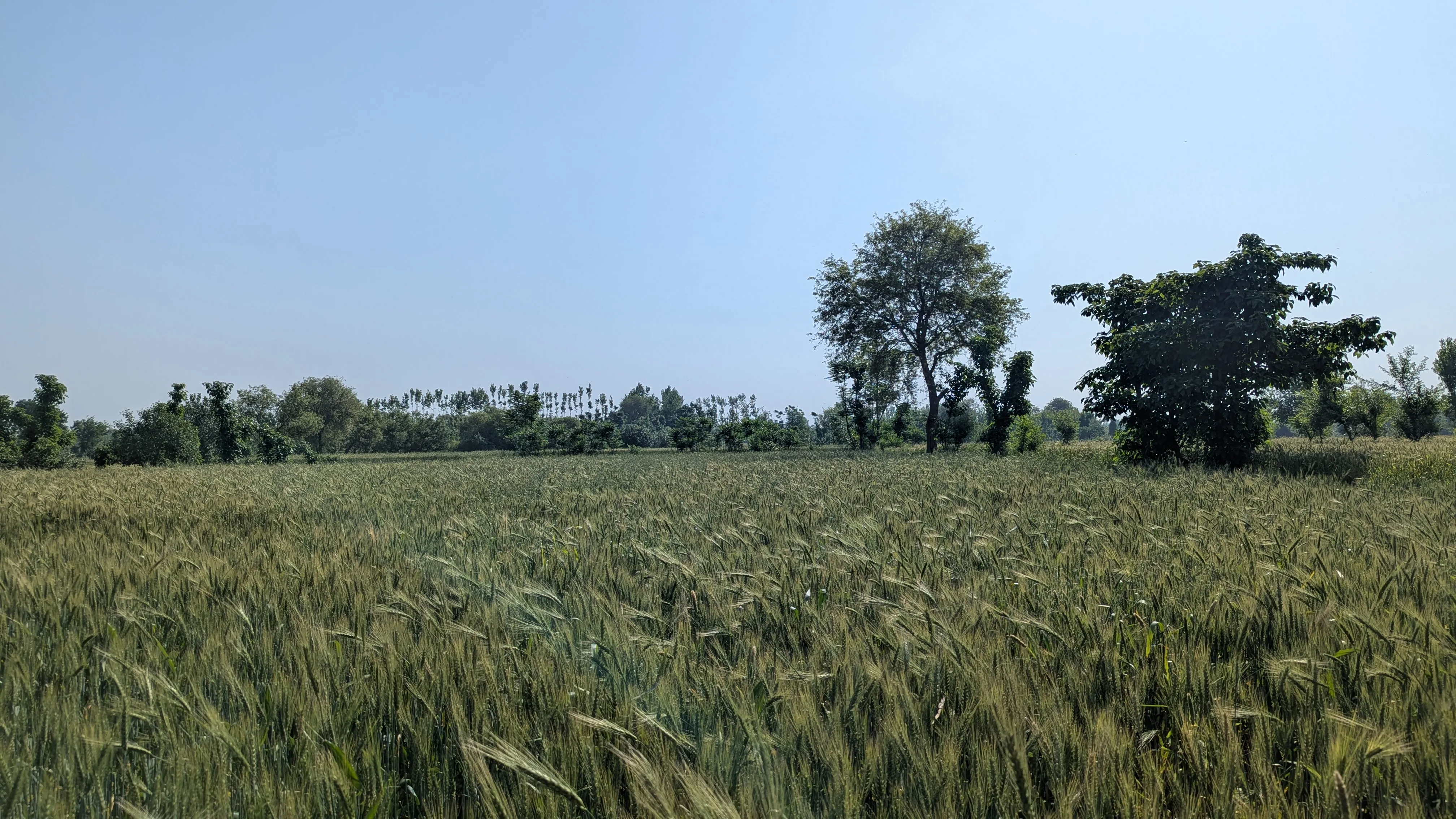 AFCIA WFP x WeatherWalay Sprint
